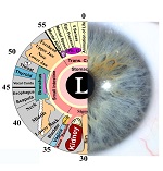 iridology-event.jpg