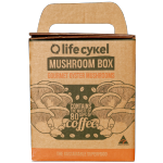 Lifecykel Mushroom Box